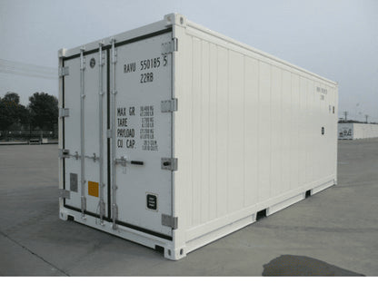 Container Frigorifique 20 Pieds (Reefer)