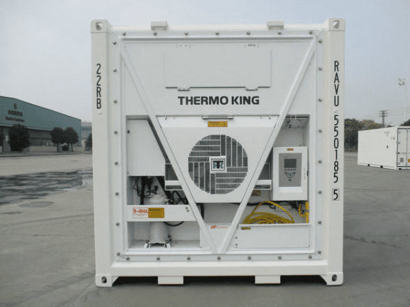 Container Frigorifique 20 Pieds (Reefer)
